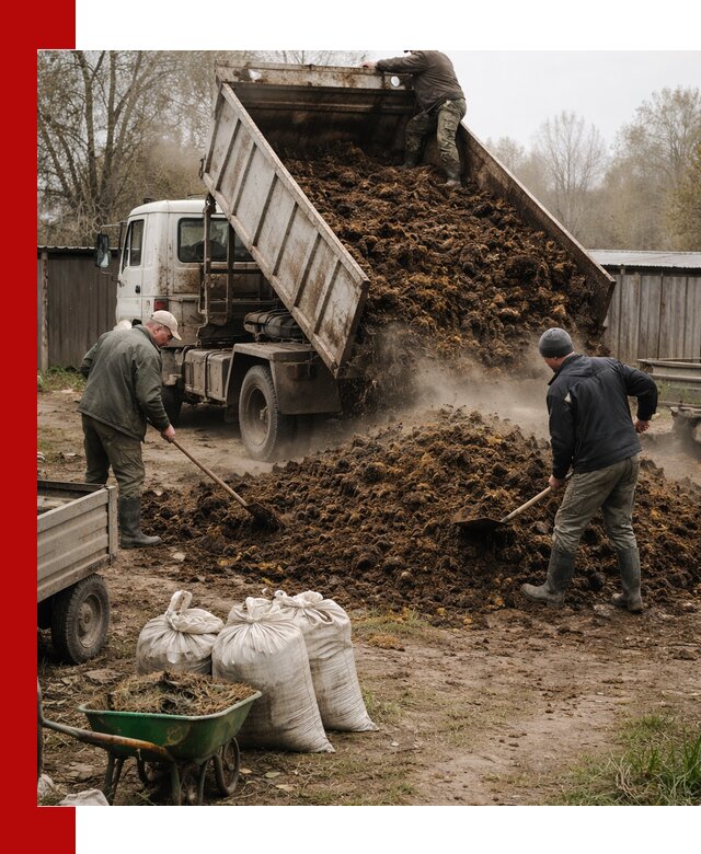Доставка коровьего навоза самосвалом в Щербинке